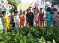 Các bé Nhà Trẻ 1thăm vườn rau sáng nay